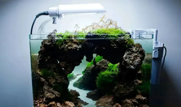 合肥鱼缸造景