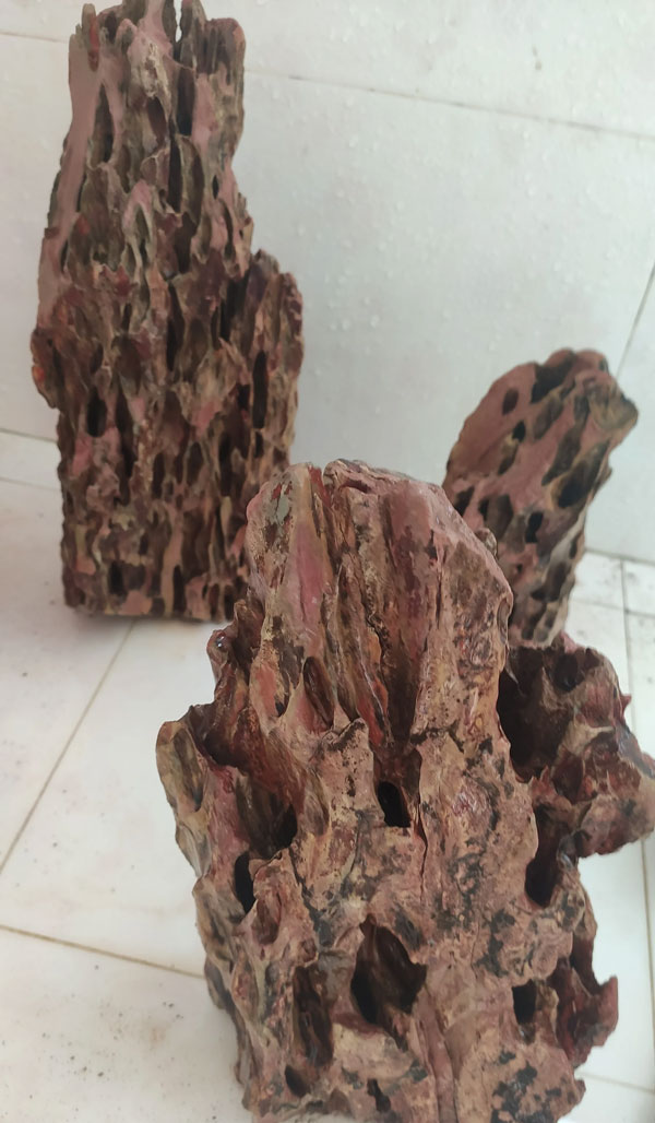 合肥鱼缸布景