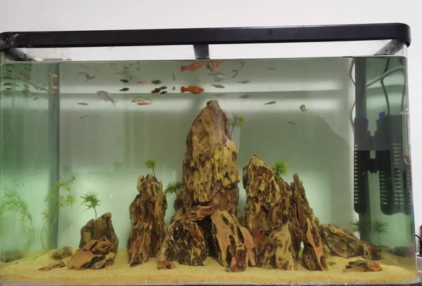 合肥鱼缸布景