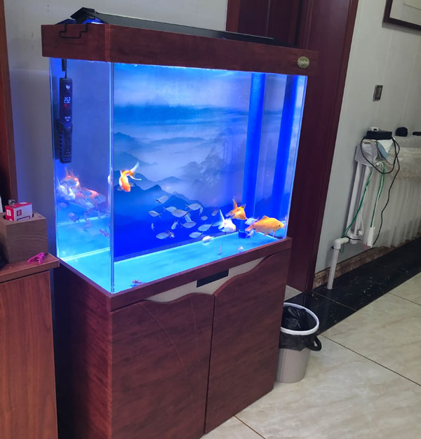 合肥鱼缸造景